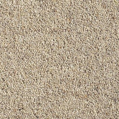 Catania 45oz Wool Twist Carpet - Cookie