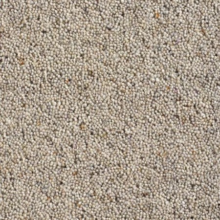 Catania 45oz Wool Twist Carpet - Hobnob