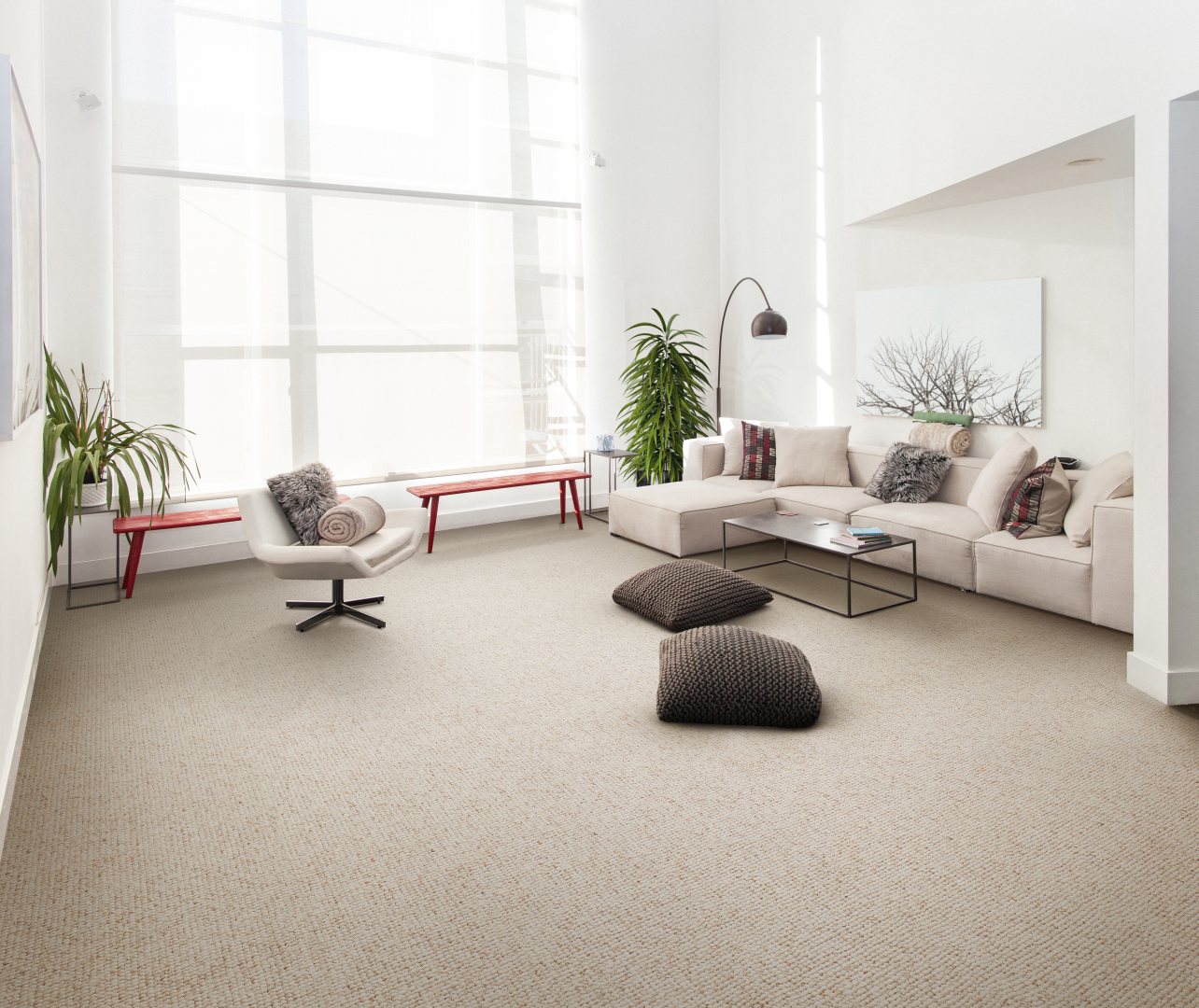 Stone Loop Carpet - Cream 610